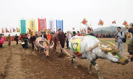 Xem 'Nhà Vua' 95 tuổi xuống đồng làm lễ Tịch Điền 