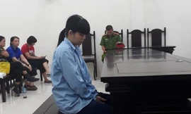 Lê Thị Hồng Hoa tại tòa.