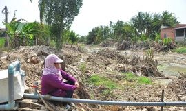 Người dân ở ĐBSCL quay cuồng với nỗi lo thiếu nước sinh hoạt và sản xuất