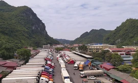 Bộ NN&PTNT đã kiến đã đề xuất với phía Trung Quốc mở luồng ưu tiên, tăng thời gian thông quan để giải phóng hàng nông sản còn ùn ứ