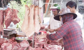 Bộ NN&PTNT đang khẩn trương thúc đẩy tìm kiếm các nguồn nhập khẩu thịt lợn để giảm nhiệt giá thịt lợn trong nước