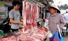 Giá thịt lợn bán chợ vẫn cao dù nhiều DN đã giảm giá lợn hơi còn 70.000 đông/kg