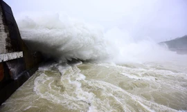 Sau hồ thuỷ điện Hoà Bình, hồ thuỷ điện Sơn La và Thác Bà đồng loạt mở một cửa đáy xả lũ