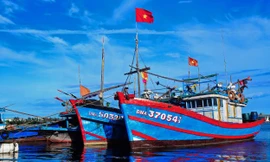 Bộ NN&PTNT đề nghị ngư dân sản xuất bình thường trong phạm vi vùng biển của Việt Nam và hướng dẫn tổ chức thành đoàn, đội khi đi sản xuất để hỗ trợ nhau trên biển.