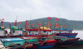 Nhiều địa phương đã ban lệnh cấm biển trước bão số 7