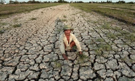 Hạn hán khiến hàng hàng chục nghìn hộ dân miền Trung, Tây Nguyên thiếu nước sinh hoạt, nhiều diện tích cây trồng thiếu nước tưới.