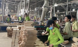 Tổng cục Hải quan đã có thông báo về việc áp mã HS 4418 với loại gỗ ghép thanh, với mức thuế xuất khẩu 0%.