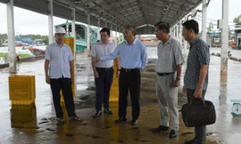 Thứ trưởng Bộ NN&PTNT Phùng Đức Tiến kiểm tra cảng cá ở Tiền Giang và lưu ý về vấn đề xác nhận, truy xuất nguồn gốc hải sản.