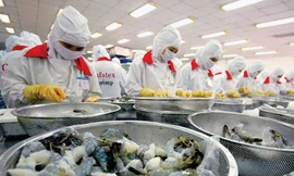 Tính đến hết tháng 3/2020, xuất khẩu thủy sản của cả nước mới đạt trên 1,5 tỷ USD, giảm tới 14,2% so với cùng kỳ năm ngoái.