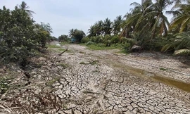 Dự báo hạn mặn ở ĐBSCL có thể kéo dài trong tháng 4 này