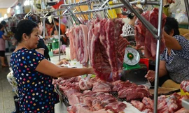 Lãnh đạo Bộ NN&PTNT cho biết, giá thịt lợn từ chuồng trại đến tay người tiêu dùng phải qua 2-5 khâu trung gian, đẩy giá tăng khoảng 43%.