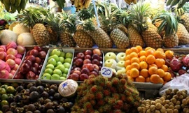 Chiều 24/12, Thủ tướng Nguyễn Xuân Phúc dự hội nghị tổng kết năm 2020, triển khai kế hoạch năm 2021 của ngành NN&PTNT. 