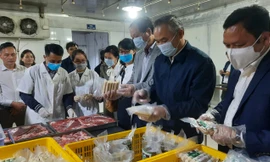 Thứ trưởng Bộ NN&PTNT Phùng Đức Tiến kiểm tra an toàn thực phẩm tại tại một cơ sở chế biến ở Hà Nội.