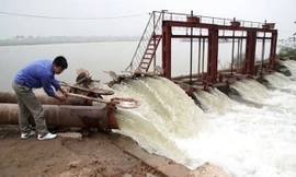 Còn khoảng 250 nghìn ha lúa Đông Xuân chờ các đợt xả nước sắp tới.