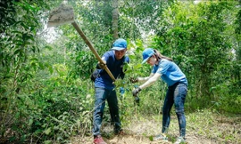 Thứ trưởng Thường trực Bộ NN&PTNT Hà Công Tuấn cho biết đã báo cáo Thủ tướng xây dựng đề án trồng 1 tỷ cây xanh trong 5 năm tới.