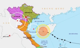 Theo dự báo, khoảng chiều mai 2/8, bão sẽ đi vào đất liền các tỉnh từ Thái Bình đến Nghệ An.