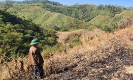 Nguy hiểm như nghề… bảo vệ rừng