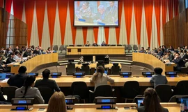 Cuộc họp của ECOSOC ngày 9/4. (Ảnh: Mofa)