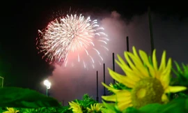 Năm 2024 - Năm của niềm tin và hy vọng