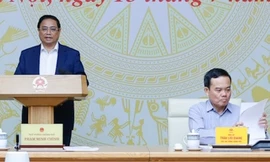 Thể chế hóa, bảo đảm thống nhất với quy định tạm đình chỉ công tác cán bộ cấp dưới