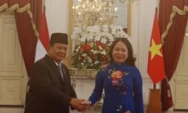 Phó Chủ tịch nước Võ Thị Ánh Xuân gặp tân Tổng thống Indonesia