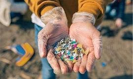 Hàm lượng cao vi nhựa ở TPHCM, Hà Nội: Tăng nguy cơ ung thư, tự kỷ 