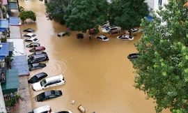 Nhiều tài sản bạc tỷ 'trồi lên' khi lũ rút ở Thái Nguyên