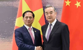 Bộ trưởng Ngoại giao Bùi Thanh Sơn trong cuộc gặp Bộ trưởng Ngoại giao Trung Quốc Vương Nghị ngày 4/4. (Ảnh: Mofa)