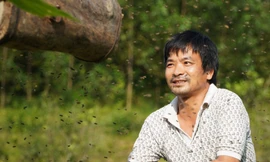 Tuyệt chiêu chàng thợ săn 'dụ' ong rừng về nhà nuôi lấy mật