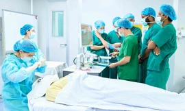 Việt - Nga: Tiềm năng hợp tác y tế, dược phẩm 