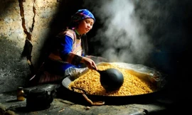 Thích ứng thời giám sát nồng độ cồn