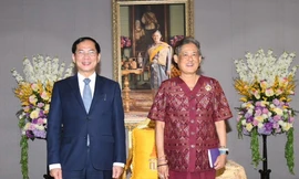 Bộ trưởng Ngoại giao Bùi Thanh Sơn có cuộc tiếp kiến Công chúa Thái Lan Maha Chakri Sirindhorn. (Ảnh: Mofa)