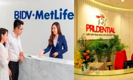 Bốn doanh nghiệp bảo hiểm nhân thọ được Bộ Tài chính chỉ ra sai phạm sau khi thanh tra