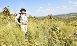 Thúc đẩy thị trường tín chỉ các - bon từ rừng: Phát triển bền vững, phục hồi hệ sinh thái 