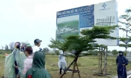 Xem xét trách nhiệm, xử lý kỷ luật Đảng ủy Văn phòng Tỉnh ủy Quảng Nam nhiệm kỳ 2015-2020 