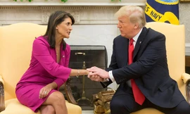 Vẫn ngẩng cao đầu 