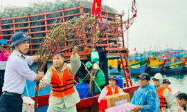 Tình quân dân ấm áp trên đảo Lý Sơn