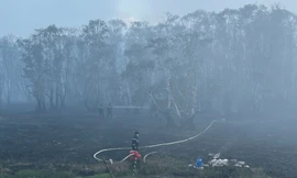 Công an vào cuộc điều tra nguyên nhân cháy Vườn Quốc gia Tràm Chim
