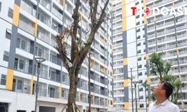 Đề xuất không thu quá 95% giá nhà ở xã hội trước khi cấp sổ đỏ