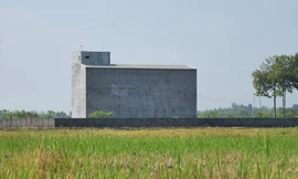 Điều kiện chuyển đất trồng cây sang đất nông nghiệp khác