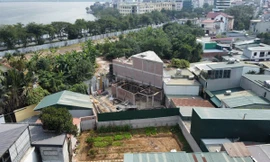 Đất nông nghiệp sử dụng sai mục đích xử lý thế nào?