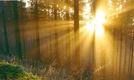 Miền Bắc nắng ấm đến hết tuần