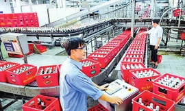 SABECO phản hồi thông báo của Kiểm toán Nhà nước