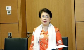 Ban Bí thư quyết định thi hành kỷ luật đồng chí Phan Thị Mỹ Thanh bằng hình thức Cách chức tất cả các chức vụ trong Đảng. 