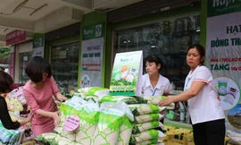 Người dân Thủ đô hào hứng với gạo Đồng Tháp Mười