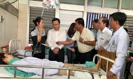 Ủy ban ATGT Quốc gia xét nghiệm ma túy tất cả lái xe khách, container