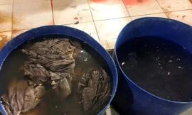 VIDEO: Cận cảnh cơ sở tẩy trắng phụ phẩm bò thối để bán cho quán nhậu