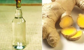 Uống rượu gừng suốt 2 tháng để ấm bụng, sản phụ tử vong vì ngộ độc