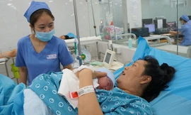 TPHCM: 6 ‘Heo vàng’ chào đời đúng giao thừa
