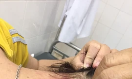 Nhiều bệnh nhân thành nạn nhân của kiến ba khoang... khi nằm viện